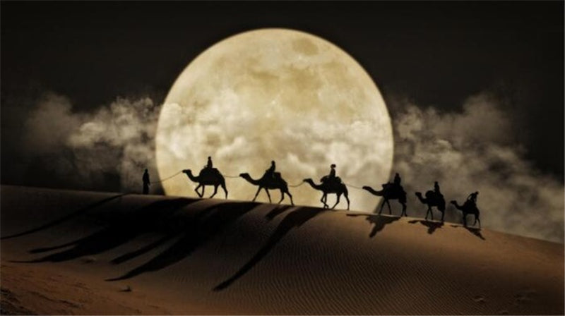 Desert Moon Night Canvas Wall Art Poster Decor